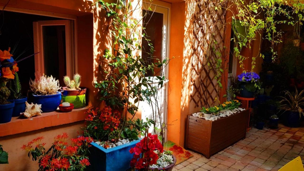 Petit Patio En Centre Ville Nimes Exterior photo
